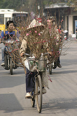 New Year's Tree